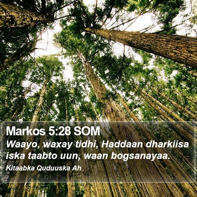 Markos 5:28 SOM Bible Verse Image
