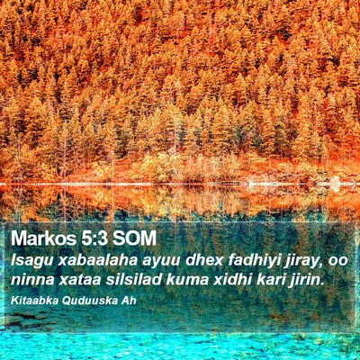 Markos 5:3 SOM Bible Verse Image