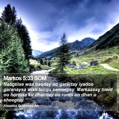 Markos 5:33 SOM Bible Verse Image