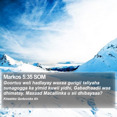 Markos 5:35 SOM Bible Verse Image