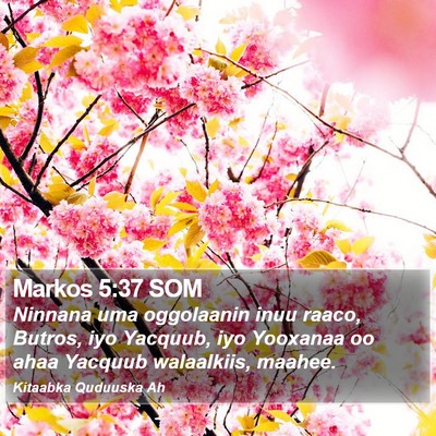 Markos 5:37 SOM Bible Verse Image