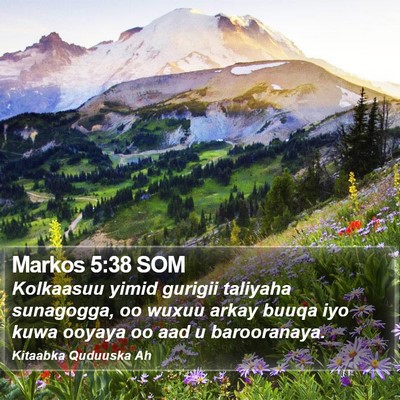 Markos 5:38 SOM Bible Verse Image