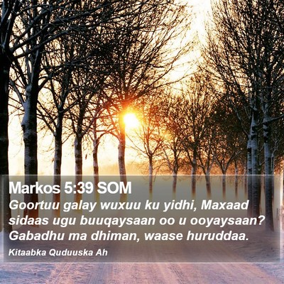 Markos 5:39 SOM Bible Verse Image