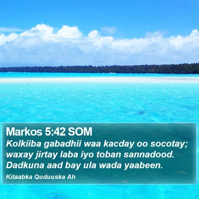 Markos 5:42 SOM Bible Verse Image