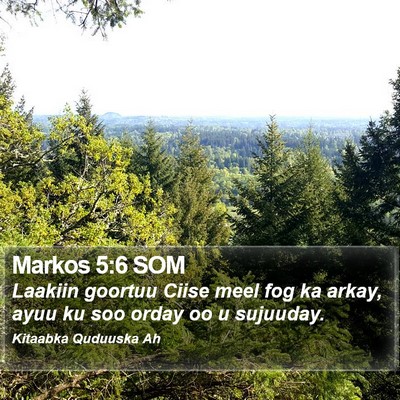Markos 5:6 SOM Bible Verse Image
