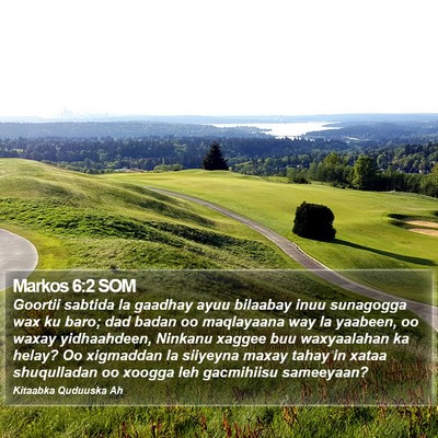 Markos 6:2 SOM Bible Verse Image