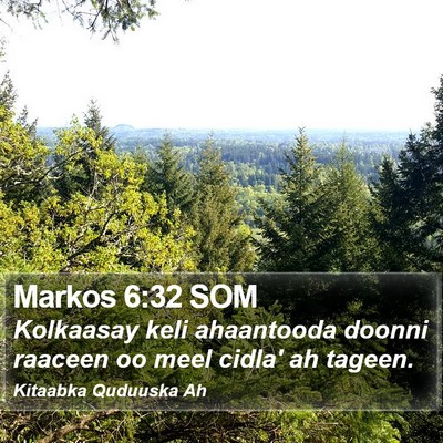 Markos 6:32 SOM Bible Verse Image