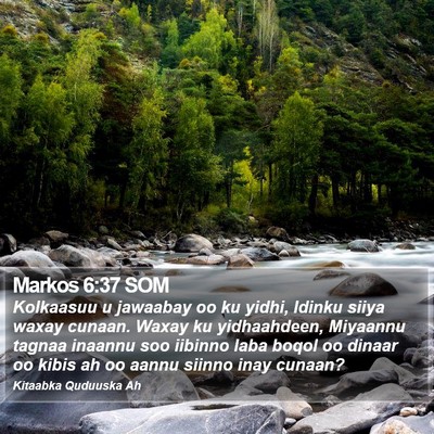 Markos 6:37 SOM Bible Verse Image