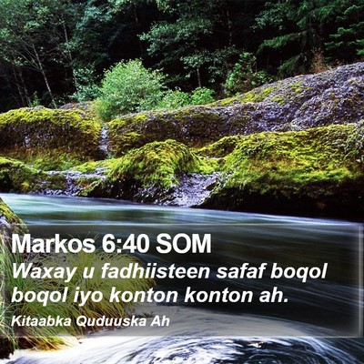 Markos 6:40 SOM Bible Verse Image