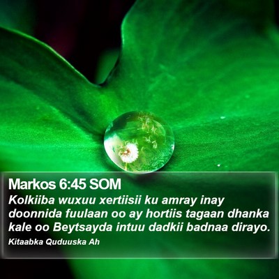Markos 6:45 SOM Bible Verse Image