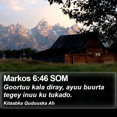 Markos 6:46 SOM Bible Verse Image