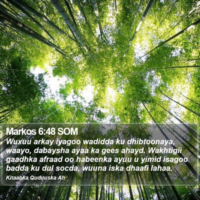 Markos 6:48 SOM Bible Verse Image