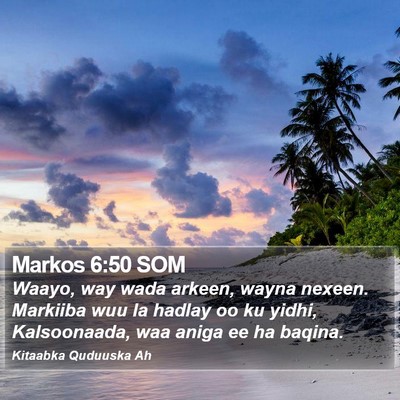 Markos 6:50 SOM Bible Verse Image