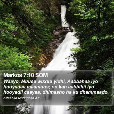 Markos 7:10 SOM Bible Verse Image