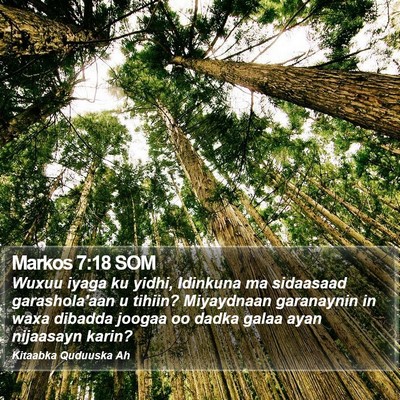 Markos 7:18 SOM Bible Verse Image