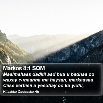 Markos 8:1 SOM Bible Verse Image