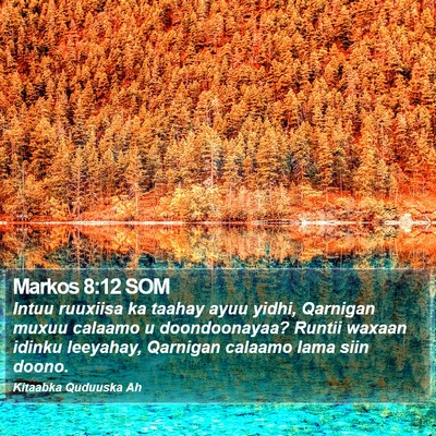 Markos 8:12 SOM Bible Verse Image