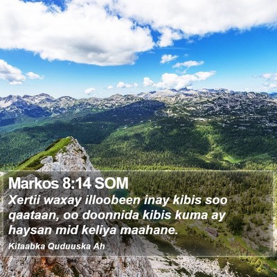 Markos 8:14 SOM Bible Verse Image