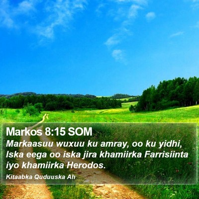 Markos 8:15 SOM Bible Verse Image