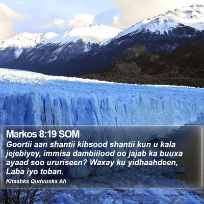 Markos 8:19 SOM Bible Verse Image