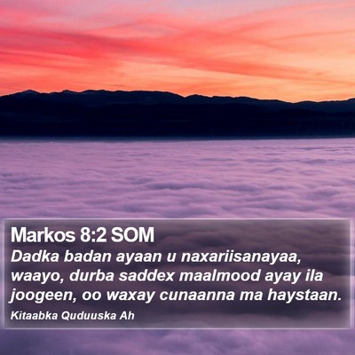 Markos 8:2 SOM Bible Verse Image