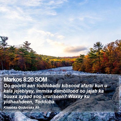 Markos 8:20 SOM Bible Verse Image