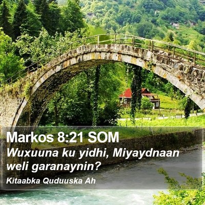 Markos 8:21 SOM Bible Verse Image