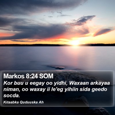 Markos 8:24 SOM Bible Verse Image