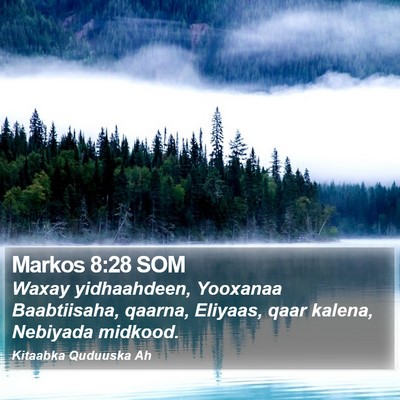 Markos 8:28 SOM Bible Verse Image