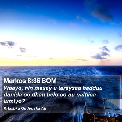 Markos 8:36 SOM Bible Verse Image