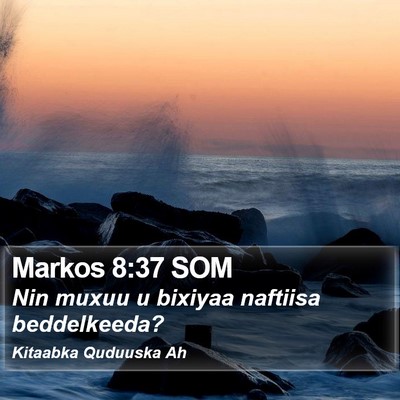 Markos 8:37 SOM Bible Verse Image