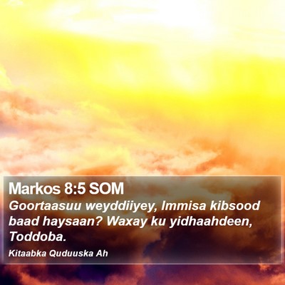 Markos 8:5 SOM Bible Verse Image