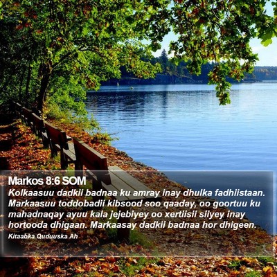 Markos 8:6 SOM Bible Verse Image