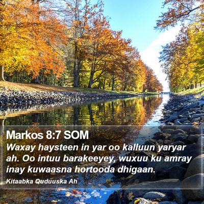 Markos 8:7 SOM Bible Verse Image