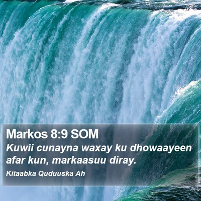 Markos 8:9 SOM Bible Verse Image