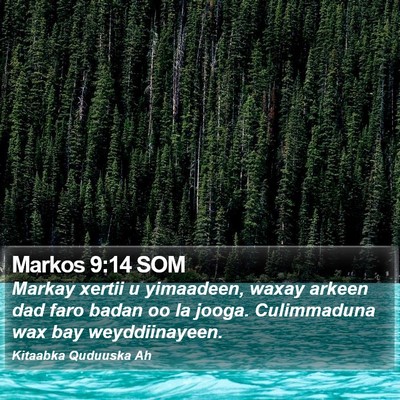 Markos 9:14 SOM Bible Verse Image
