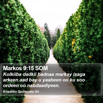 Markos 9:15 SOM Bible Verse Image