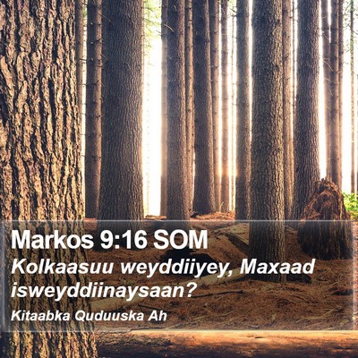 Markos 9:16 SOM Bible Verse Image