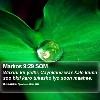 Markos 9:29 SOM Bible Verse Image