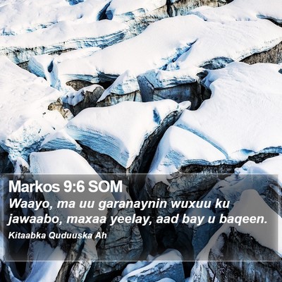 Markos 9:6 SOM Bible Verse Image