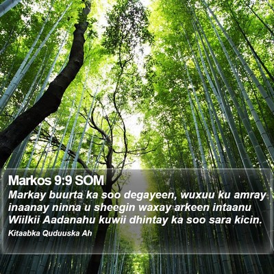 Markos 9:9 SOM Bible Verse Image