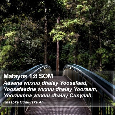 Matayos 1:8 SOM Bible Verse Image
