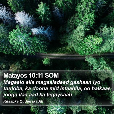 Matayos 10:11 SOM Bible Verse Image