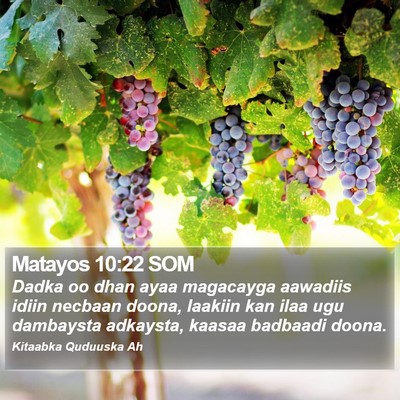 Matayos 10:22 SOM Bible Verse Image