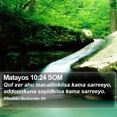 Matayos 10:24 SOM Bible Verse Image