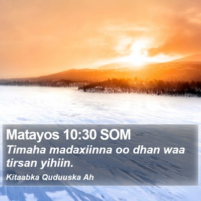 Matayos 10:30 SOM Bible Verse Image
