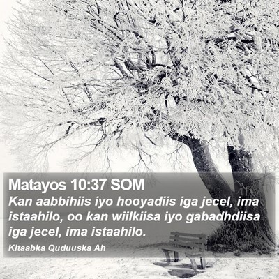 Matayos 10:37 SOM Bible Verse Image