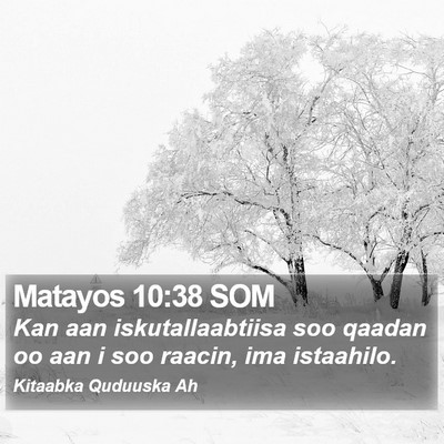 Matayos 10:38 SOM Bible Verse Image