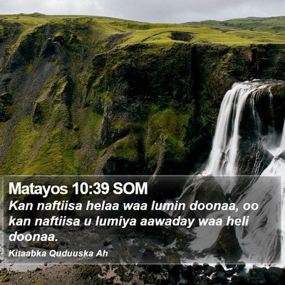 Matayos 10:39 SOM Bible Verse Image