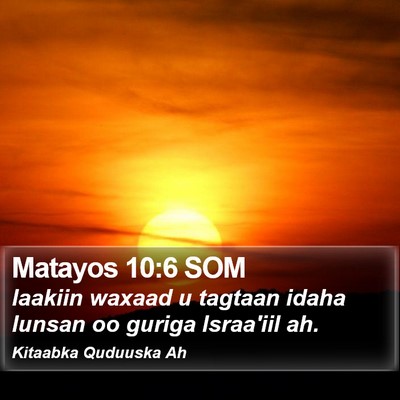 Matayos 10:6 SOM Bible Verse Image